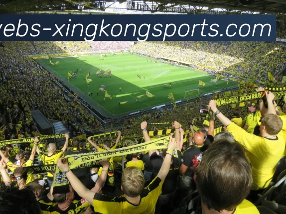 星空官网服务体系